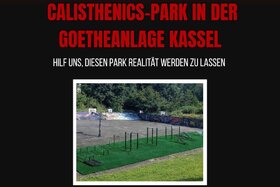 Bild der Petition: Bau einer Calisthenicsanlage beim Baketballplatz in der Goetheanlage