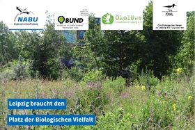 Foto della petizione:Bauen und Natur erhalten! Artensterben stoppen! Wertvolle Grünflächen für Leipziger*Innen schützen!