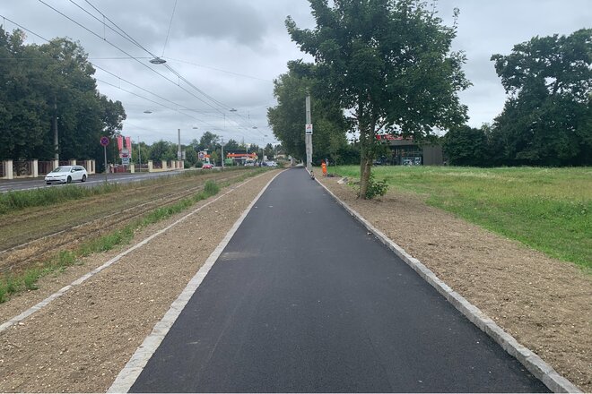 Image of the petition Baumallee für den Linzer Süden