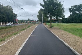 Bild av namninsamlingen: Baumallee für den Linzer Süden