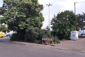 Foto da petição:Baumfällung für Parkplätze auf dem Kerweplatz verhindern