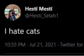 Image of the petition: Beating Hesti for not liking cats
