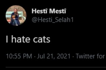 Image of the petition Beating Hesti for not liking cats