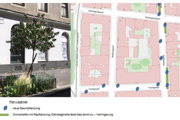 Petitsiooni pilt Begrünung und Bäume für die Weißgasse und Umgebung