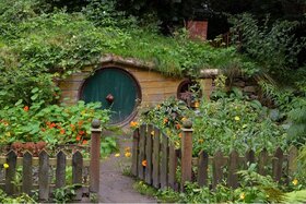 Bild der Petition: Begrünung von Dächern bei Neubau Pflicht