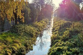 Peticijos paveikslėlis: Beleuchtung kleine Erft in Bergheim