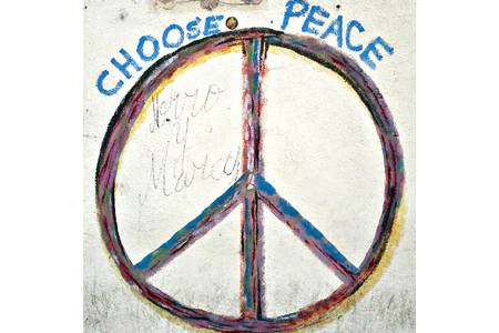 Pilt petitsioonist:BERLIN PEACE ACCORDS - putting an end to the world war on Cannabis!