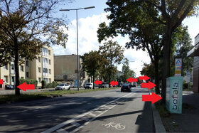 Bild der Petition: Berlin-Reinickendorf, Ollenhauerstraße:  Kahlschlag aller 116 Straßenbäume für Luxus-Straßen-Neubau?