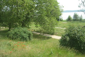 Bild der Petition: Berücksichtung der Bürgerwünsche bei Umgestaltung des Parks Neukladow zu Havelwiese und Havelzugang