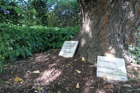 Bild der Petition: Beseitigung der Friedhofspflicht für die Asche Verstorbener