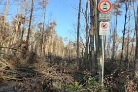 Bild der Petition: Beseitigung Sturmschäden im Wald (Vita Parcours) und kein Plastik mehr am Zaun des Campingplatzes