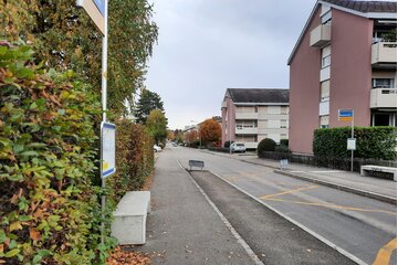 Obraz petycji Bessere Lebensqualität mit Tempo 30 auf dem Berglistrasse
