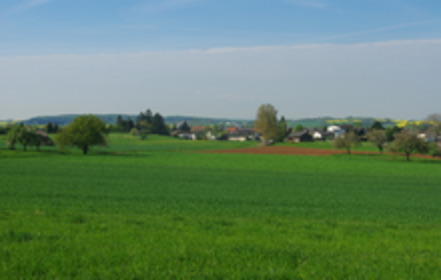 Bild der Petition: BI gegen das geplante Baugebiet "Steinwiese" in Lich-Langsdorf