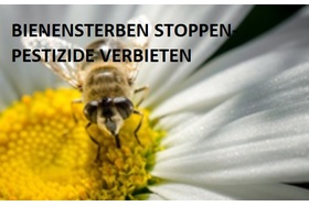 Bild der Petition: Bienen  schützen-Pestizide verbieten