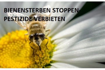 Bild der Petition Bienen  schützen-Pestizide verbieten