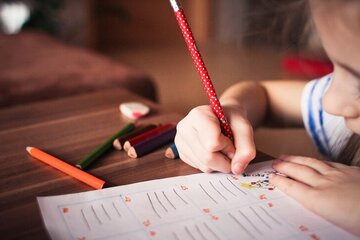 Bild der Petition Bildungspflicht statt Schulzwang in Deutschland