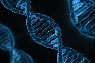 Bild der Petition Biologie-Abiturvorgaben ändern und deutlicher eingrenzen