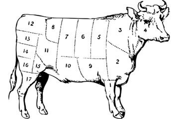 Image of the petition Boykottieren Sie US-amerikanisches Rindfleisch