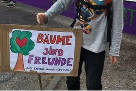 Foto da petição:Breite Straße -  Bäume erhalten