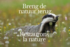 Billede af andragendet: Pour le retour du vivant. Agissez maintenant !