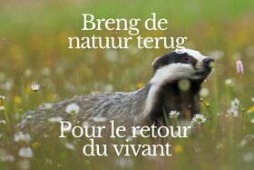 Immagine della petizione: Pour le retour du vivant. Agissez maintenant !