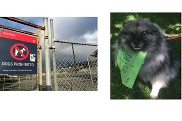 Image of the petition Bring back dog poo bags and bin access in South Hobart