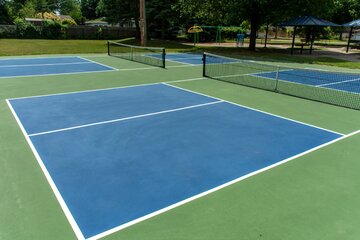 Image of the petition Bringing Pickleball to Mill Pond: A Proposal for New Outdoor Courts