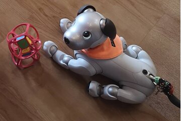 Imagen de la petición Please make the new Sony aibo availble in Germany/Europe again!