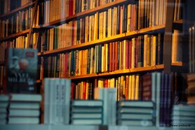 Bild der Petition: Buchhandlungspreis 2025 - Unterstützung für die ausgeschlossenen Buchhandlungen