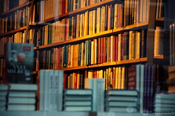 Obraz petycji Buchhandlungspreis 2025 - Unterstützung für ausgeschlossenen Buchhandlungen
