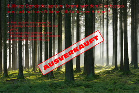 Picture of the petition:Büllinger Gemeindeeigentum - Stoppt den Ausverkauf!