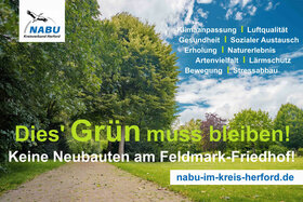Bild der Petition: Bünde: Dies' Grün muss bleiben! Keine Neubauten am Feldmark-Friedhof! Die grüne Lunge erhalten! NABU