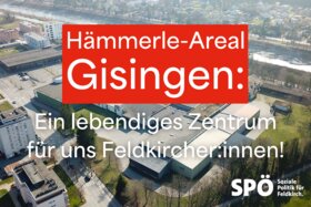 Bild der Petition: Bürger:innenbeteiligung zur Entwicklung des Hämmerle-Areals – Ein lebendiges Zentrum für Gisingen!