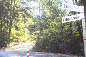 Foto e peticionit:Bürgerinitiative "Waldrettung Weinberge" in Strausberg