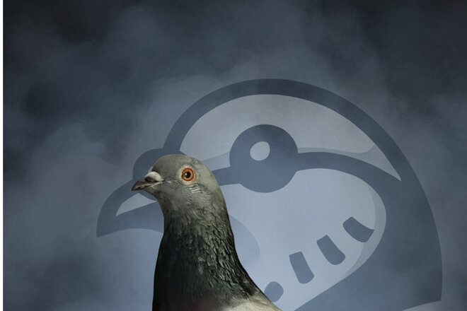 請願書 Bundesgesetz zur Finanzierung von Stadttauben-Management nach dem Augsburger Modell の画像