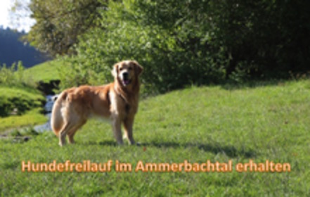 Kuva vetoomuksesta:Bürgerinitiative "Hundefreilauf im Ammerbachtal erhalten"