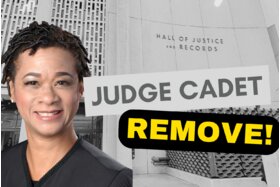 Picture of the petition:Call for the Removal of Judge Chinhayi Cadet from the San Mateo County Superior Court