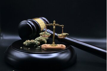 Image of the petition Cannabis Legalisierung in Österreich? Ja bitte!