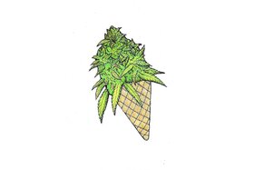 Bild der Petition: Cannabis Social Club für Hameln - Green-Gelato CSC