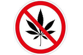 Image de la pétition : Cannabisverbot als Hausrecht: Ein Hindernis für die Inklusion von Cannabispatienten