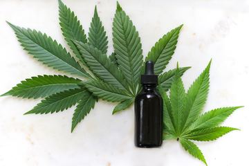 Bild der Petition Cannabis-Legalisierung Österreich