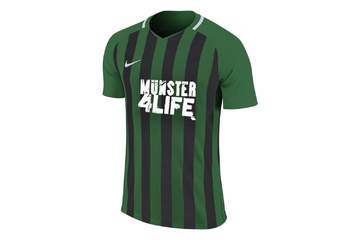 Bild der Petition Charity-Trikot für SC Preußen Münster