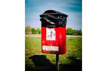 Image of the petition Clean up dog poop in West Los Angeles. Keep our Neighborhoods fecal free!