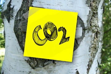 Bild der Petition Für eine CO2-Kennzeichnung auf Lebensmitteln!