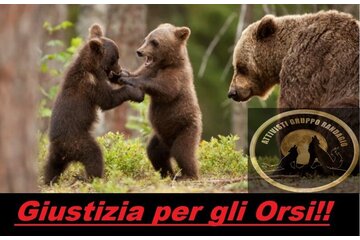Image of the petition Richiesta Commissione di Inchiesta sulla gestione grandi carnivori del TRENTINO ALTO ADIGE