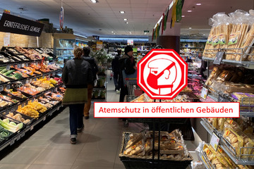 Bild der Petition Covid-19 Krankenhausüberlastung verhindern: JETZT Atemschutzmasken an die Bevölkerung verteilen!