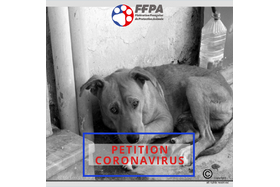 Kép a petícióról:Covid-19 : Pour Que La Protection Animale Continue Sa Mission De Service Public