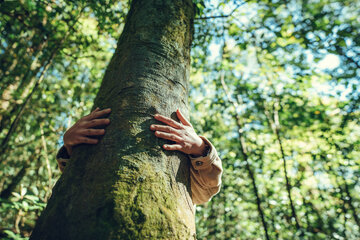 Изображение петиции Safe the forests in Avren Municipality and protect Via Pontica