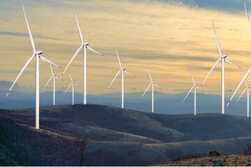 Image of the petition Save Krumovitsa Special Protection Area! No wind turbines in the vultures’ home!