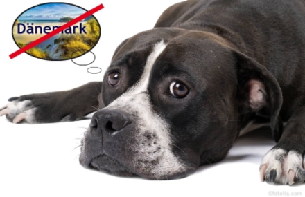 Bild der Petition: Dänisches Hundegesetz und Rasseliste außer Kraft setzen / Reisewarnung für Hundehalter
